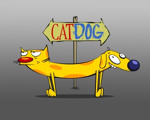 CatDog, two animals joined together creates conflict as each side likes to do things differently. They  have to work together though, as they are stuck. This means that they have to resolve their conflicts.